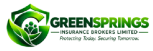 Website Design and Digital Presence Agency greensprings